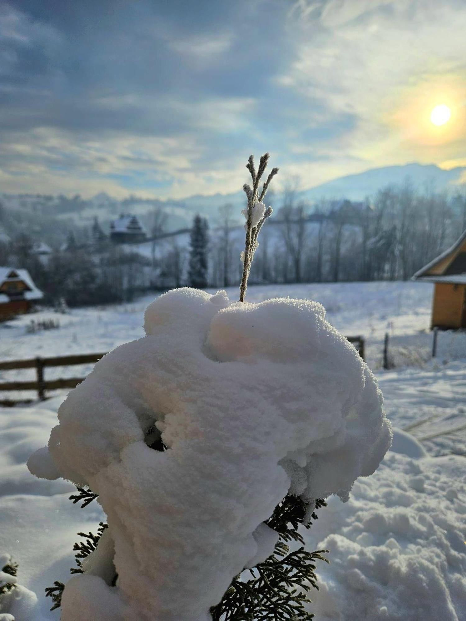 Goralska Chatka 3 Highland Cottage - Jacuzzi, Sauna, Split Ac, Private Parking, Mountains View Ζακοπάνε Εξωτερικό φωτογραφία